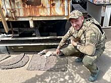 &laquo;Тебе осталось недолго&raquo;: донскому депутату Максиму Геласу угрожают убийством