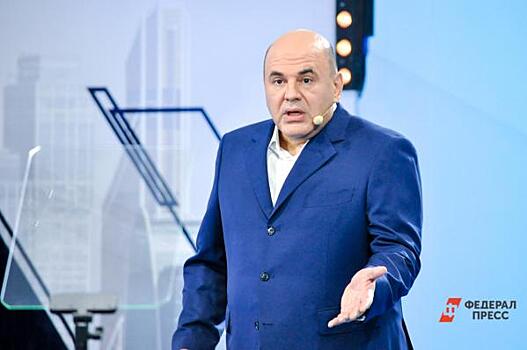 Пять федеральных министерств будут спасать Калмыкию по итогу проверки Мишустина