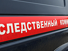 Представлявшийся другом Павла Дурова Роман Новак и его жена убиты в ОАЭ