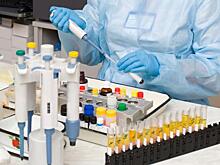 Причиной отравления детей в Ленобласти стал норовирус у персонала лагеря