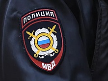 В Новосибирской области зафиксирован рекордный приток трудовых мигрантов в 2025 году