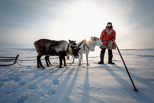 Тест «Какого цвета Арктика?»