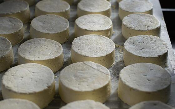 В рязанскую ОКБ поставляли фальсифицированный сыр