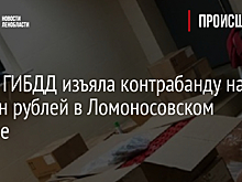 Фото: ГИБДД изъяла контрабанду на 10 млн рублей в Ломоносовском районе