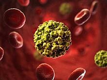 В Калининградской области коронавирусом заболели 60 пенсионеров