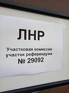 &laquo;Для нас это праздник&raquo;: жители Донбасса делятся эмоциями после голосования на референдуме