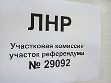 &laquo;Для нас это праздник&raquo;: жители Донбасса делятся эмоциями после голосования на референдуме