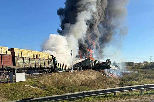 Baza: следователи рассматривают версию диверсии после столкновения фуры с поездом