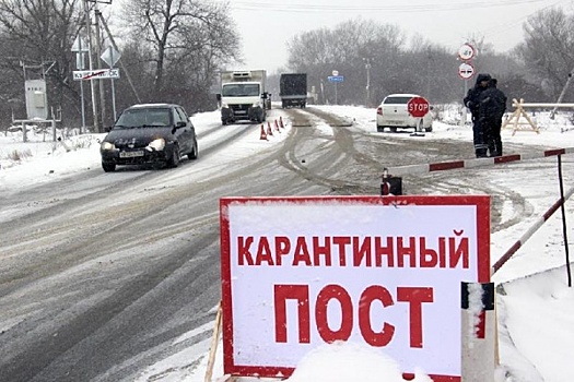 На Кубани и в Белгородской области зарегистрировали новые вспышки АЧС