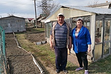 В Новосибирске пенсионеры пытаются отстоять в суде землю, которой владеют уже полвека