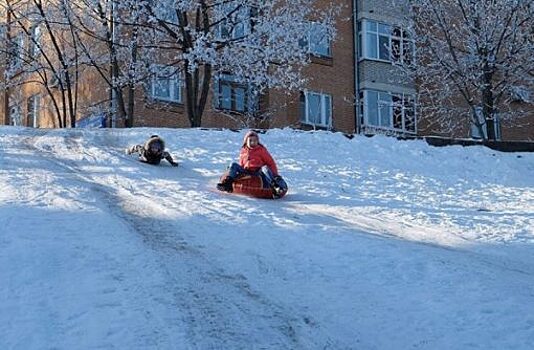 В Орле предложили привлечь полицию к борьбе с катающимися с горок