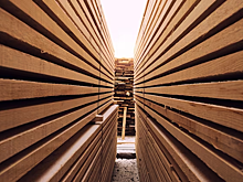 Крупный чиновник Минобороны РФ арестован по делу о махинации с лесом для нужд СВО