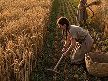 Неолит без элит: оказалось, первые земледельцы Европы жили при «коммунизме»