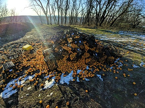 Ящики с мандаринами выбросили в чистом поле на Ставрополье