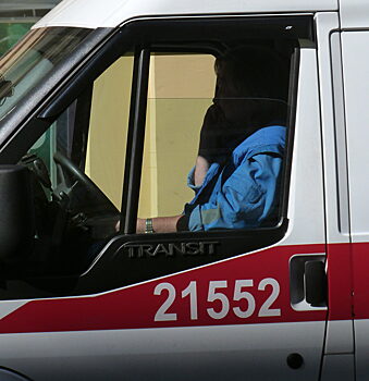 Под Петербургом собака искусала лицо ребенка