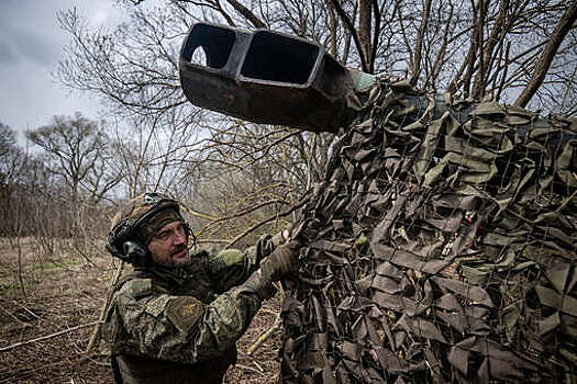 Минобороны: ВС РФ взяли под контроль Елизаветовку в ДНР