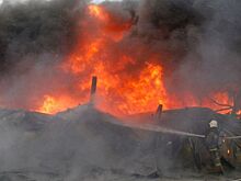 Штраф вместо лайков: в Калининградской области школьница устроила пожар ради ролика в соцсетях