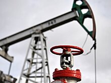 В США назвали бессмысленным потолок цен на российскую нефть