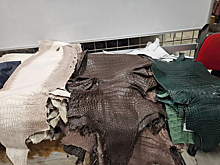 Туриста из Китая задержали в Шереметьево с 55 шкурами крокодила