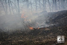 За сутки в Ульяновской области потушили семь травяных пожаров