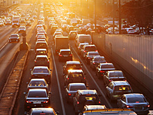 2025 год стал в Москве рекордно теплым