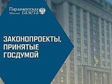 Какие законы Госдума приняла 15 декабря