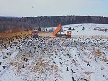 Новую карту полигона «Ядрово» оборудуют системами дегазации и очистки фильтрата