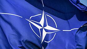 На Западе выступили с печальным для Украины заявлением насчет НАТО