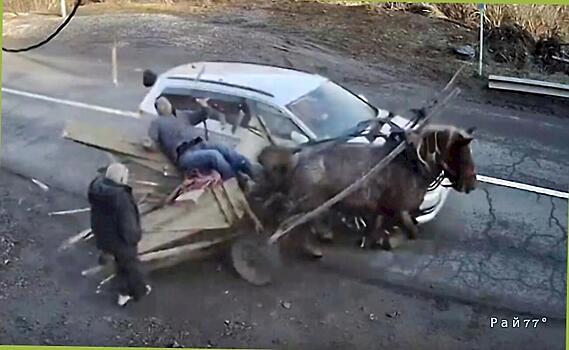 Водитель легковушки снёс гужевую повозку с лошадью и владельцем
