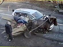 Водитель легковушки снёс гужевую повозку с лошадью и владельцем