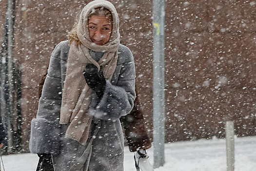 Россиянка насмерть замерзла по дороге от такси к дому