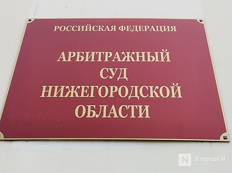 Нижегородский арбитражный суд не получил вызов на судью Андрюхину в суд Флориды по обвинению в коррупции