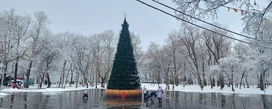 В Южно-Сахалинске в парке Гагарина установили новогоднюю ёлку