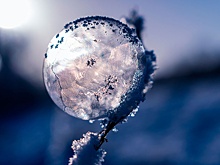 В центре Европейской России наступил синоптический сезон весны