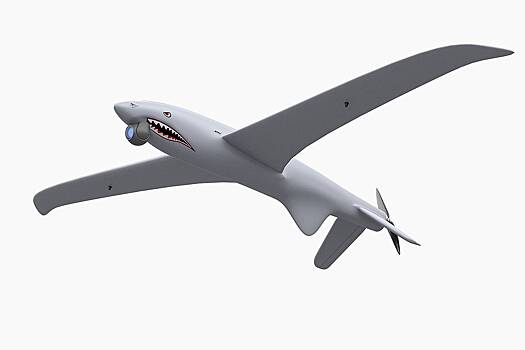 Боец ВС России сбил дрон ВСУ за сотни тысяч долларов