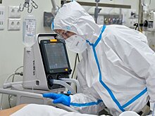 В России за сутки госпитализировали 510 человек с коронавирусом