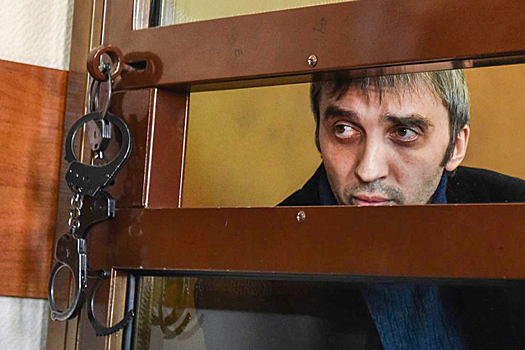 Россиянина приговорили к колонии за попытку свергнуть власть
