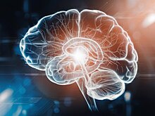 Ученые нашли новый способ лечения рака мозга у детей