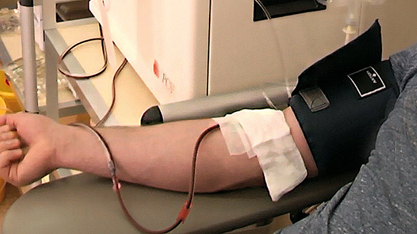 В Муравленко объявили срочный сбор донорской крови для онкобольных пациентов