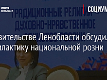 В правительстве Ленобласти обсудили профилактику национальной розни