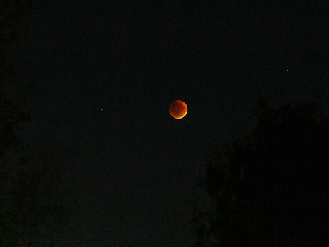 Над территорией России началось полное лунное затмение