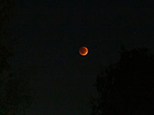 Над территорией России началось полное лунное затмение