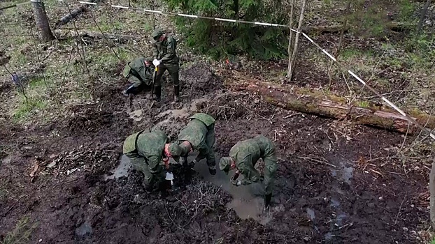 Падение «летающего танка»: поисковики ЗВО обнаружили в лесу Ленинградской области разбившийся Ил-2