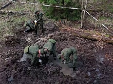 Падение «летающего танка»: поисковики ЗВО обнаружили в лесу Ленинградской области разбившийся Ил-2