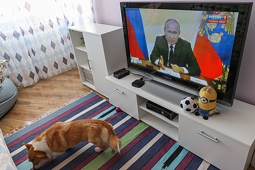 Опрос: Путину доверяют 66% россиян