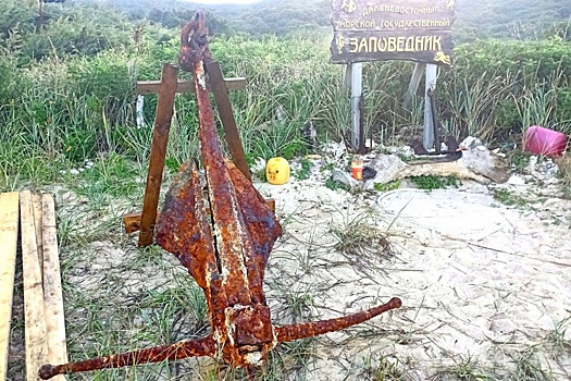 В бухте самого южного острова России нашли старинный американский якорь