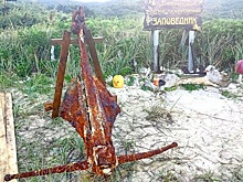 В бухте самого южного острова России нашли старинный американский якорь