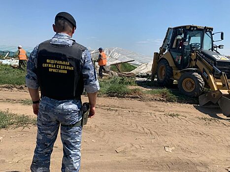 В Волгоградской области принудительно снесли 134 незаконные теплицы