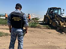 В Волгоградской области принудительно снесли 134 незаконные теплицы