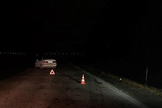 В Новосибирской области водитель сбил двух пешеходов, не заметив их в темноте